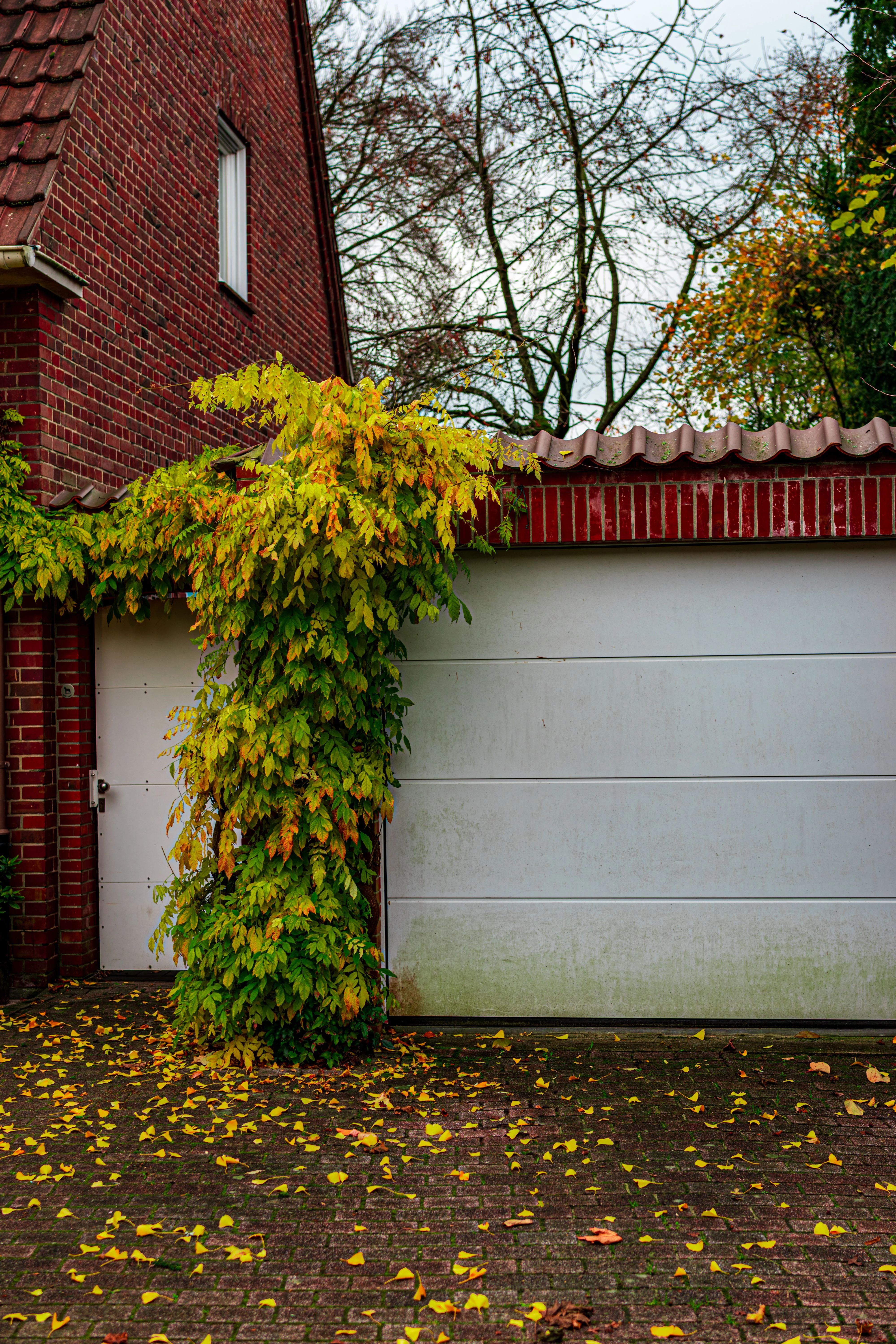 Residential garage door in Old Bridge